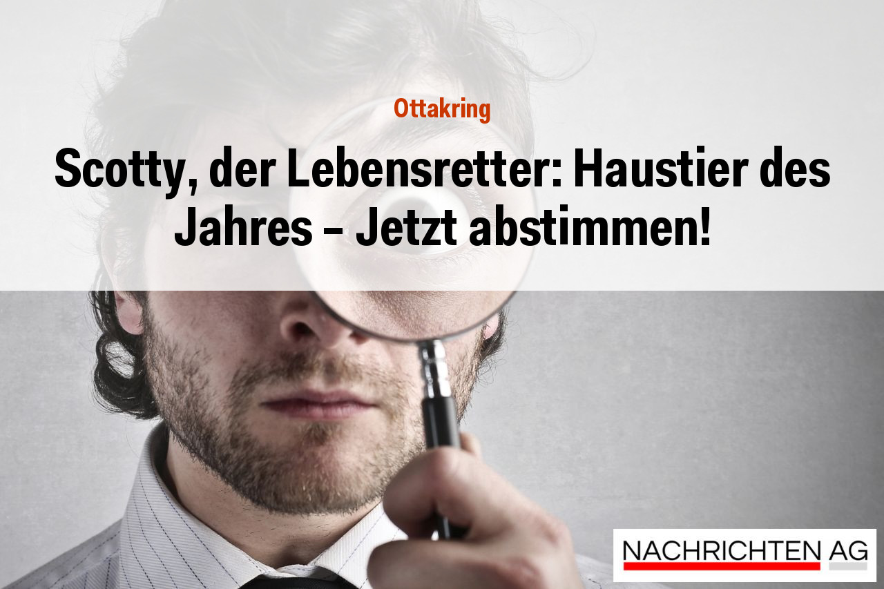 Scotty, der Lebensretter: Haustier des Jahres – Jetzt abstimmen!