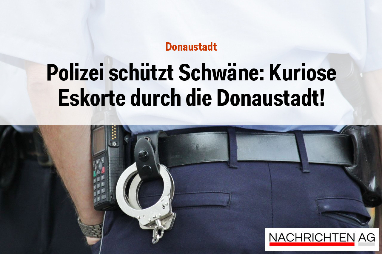 Polizei schützt Schwäne: Kuriose Eskorte durch die Donaustadt!
