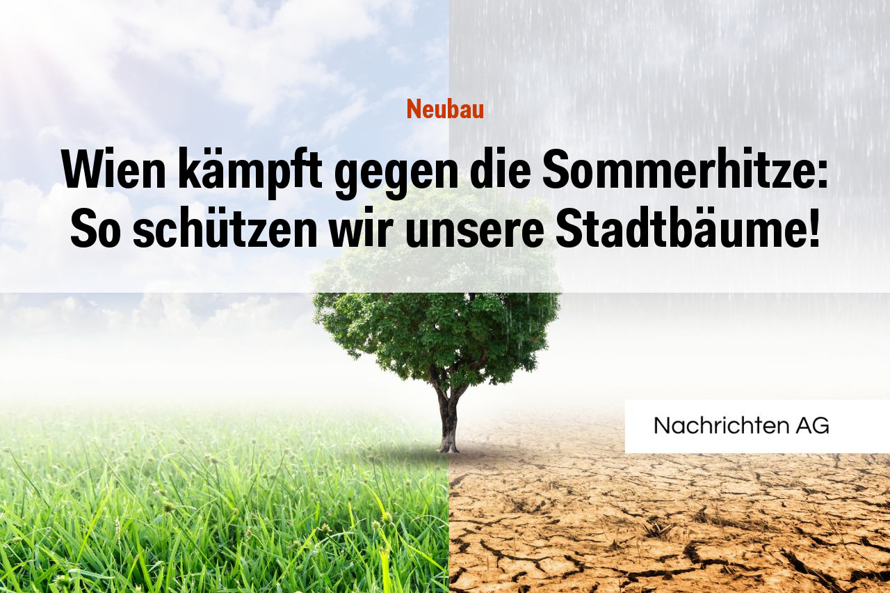 Wien kämpft gegen die Sommerhitze: So schützen wir unsere Stadtbäume!