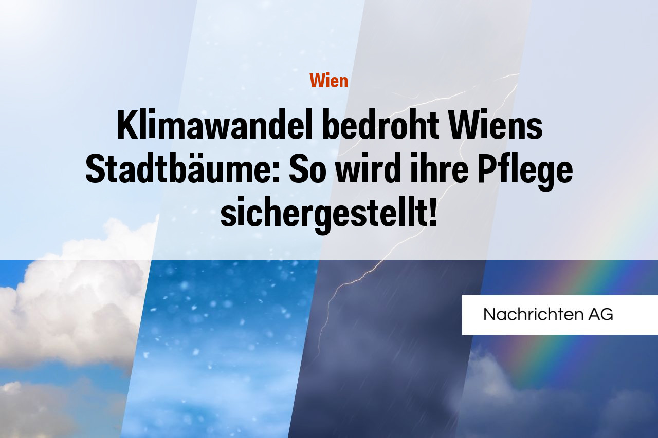 Klimawandel bedroht Wiens Stadtbäume: So wird ihre Pflege sichergestellt!