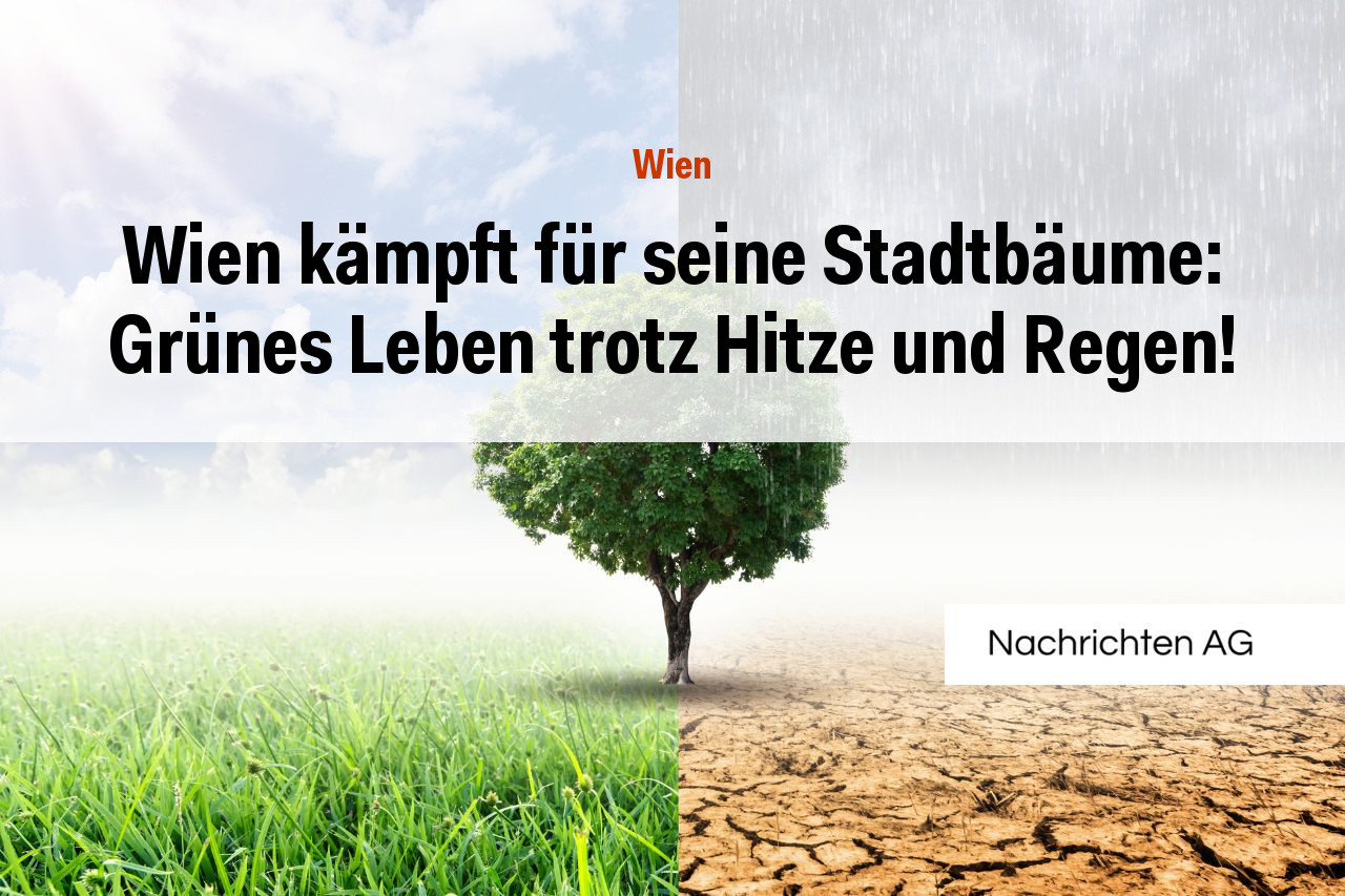 Wien kämpft für seine Stadtbäume: Grünes Leben trotz Hitze und Regen!