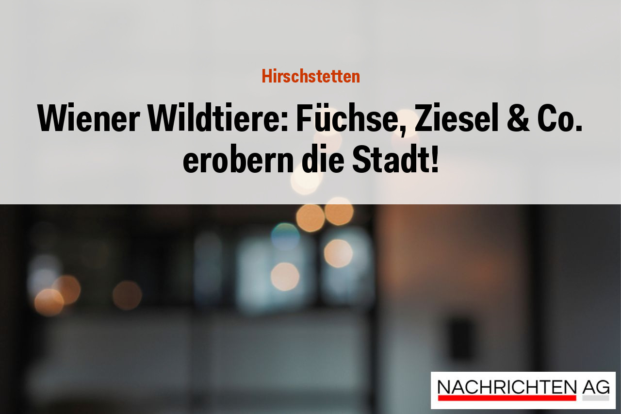 Wiener Wildtiere: Füchse, Ziesel & Co. erobern die Stadt!