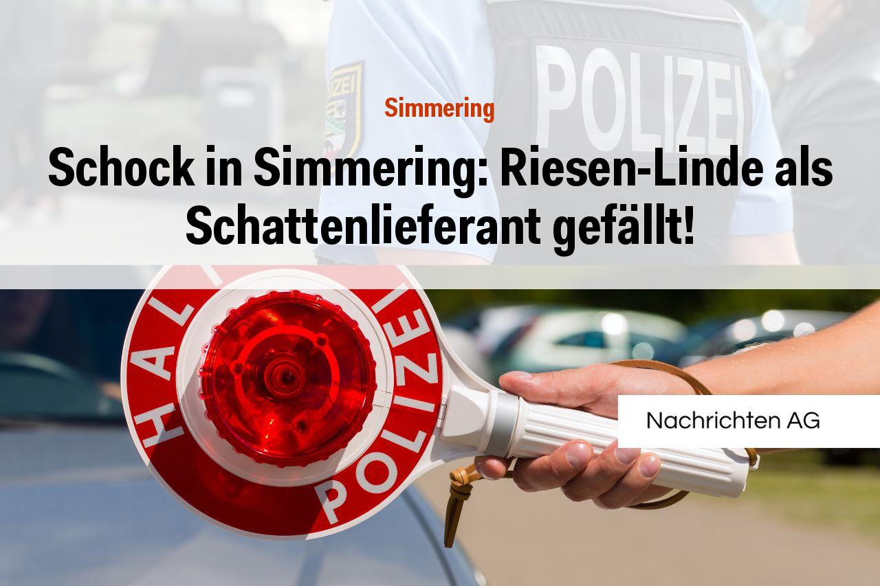 Schock in Simmering: Riesen-Linde als Schattenlieferant gefällt!