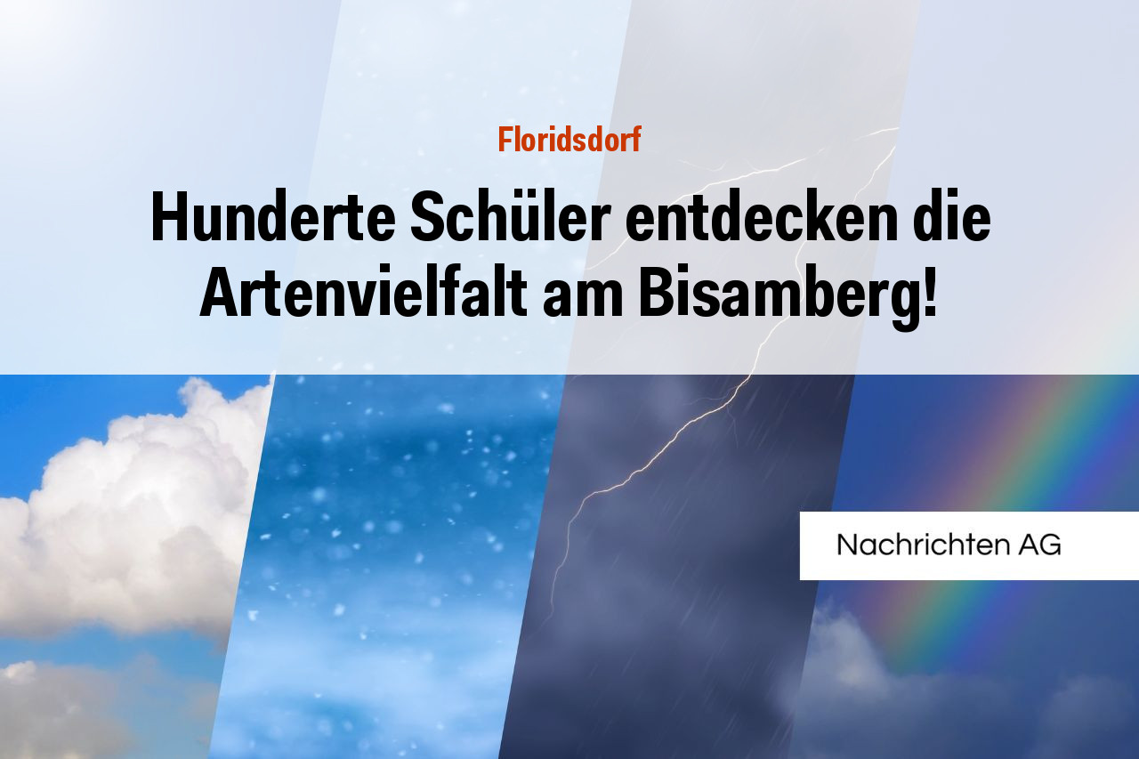 Hunderte Schüler entdecken die Artenvielfalt am Bisamberg!