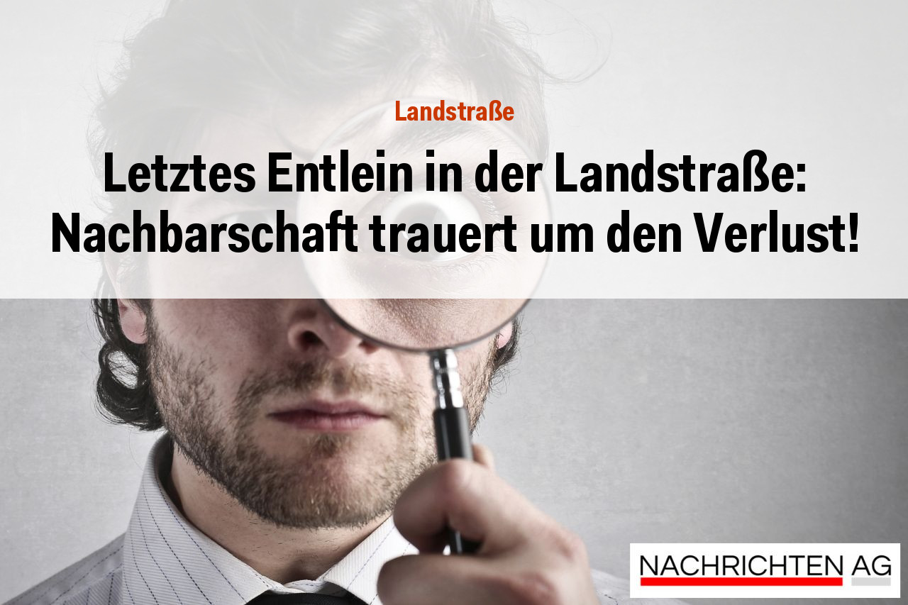 Letztes Entlein in der Landstraße: Nachbarschaft trauert um den Verlust!