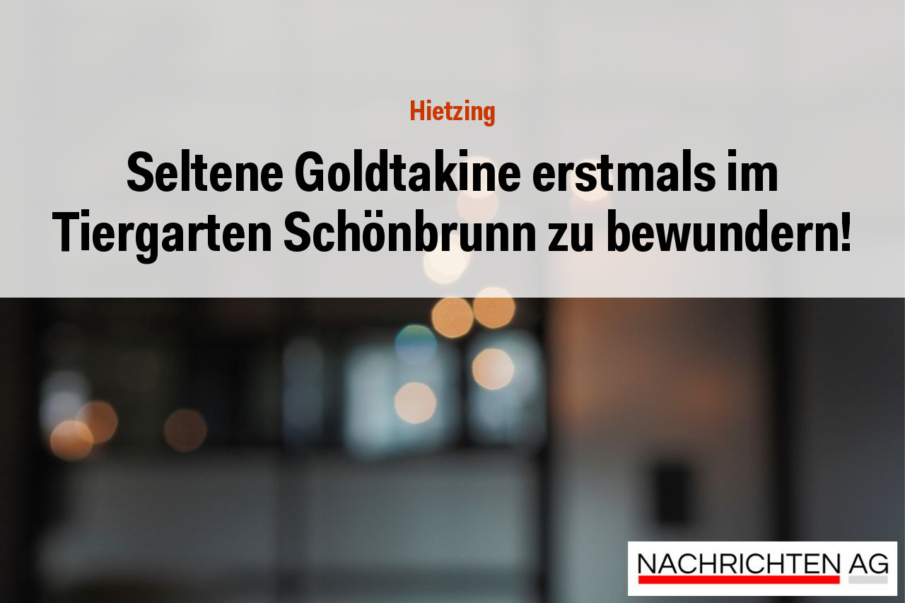 Seltene Goldtakine erstmals im Tiergarten Schönbrunn zu bewundern!