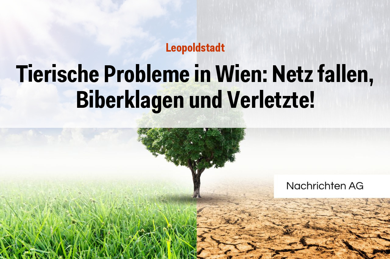 Tierische Probleme in Wien: Netz fallen, Biberklagen und Verletzte!