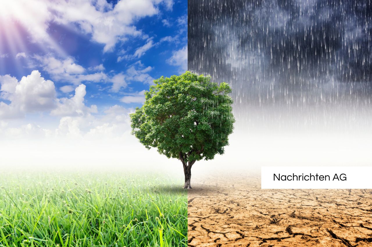 Klimawandel bekämpfen: Essbare Balkone kühlen Wiens Stadtklima!